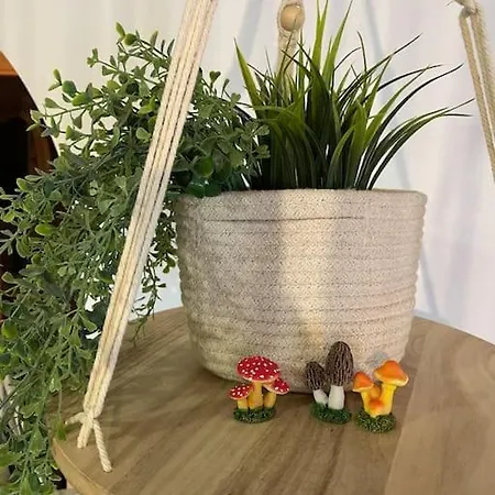 Апартаменты Acogedor Atico En Vute-23-026